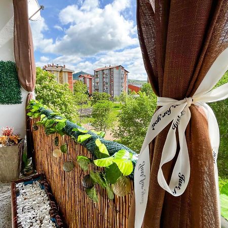 Ferienwohnung Sova Vrsac Exterior foto