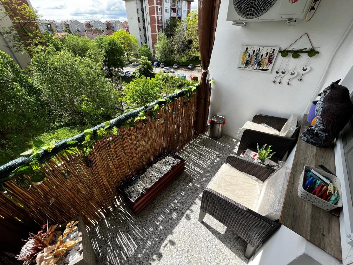 Ferienwohnung Sova Vrsac Exterior foto