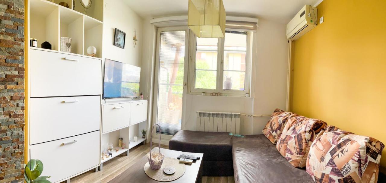 Ferienwohnung Sova Vrsac Exterior foto